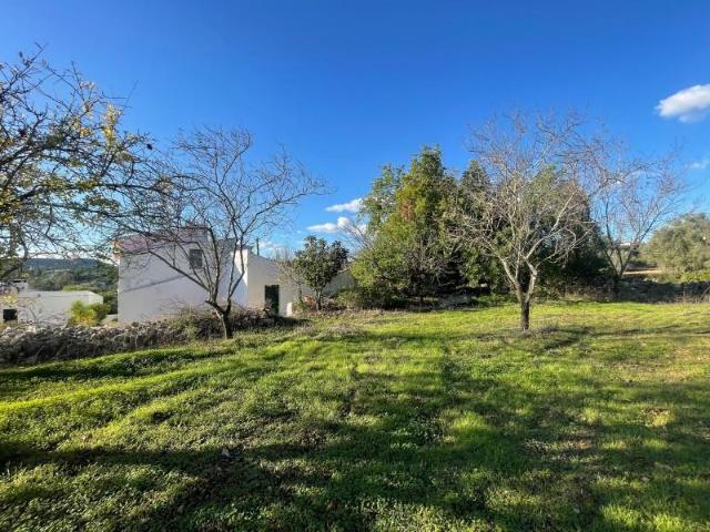 Casaa 3 quarto, Faro Faro DS96495391