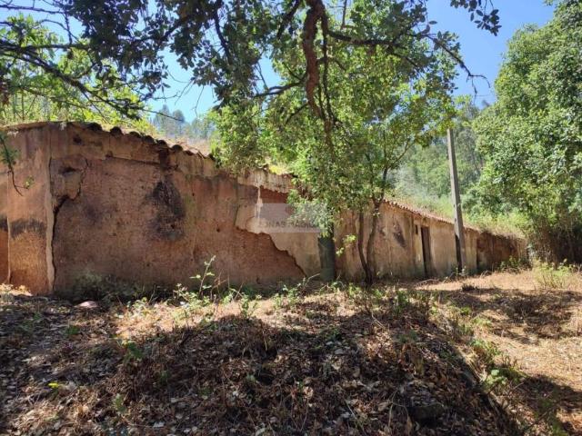 Casaa 3 quarto, Faro Faro DS101398454