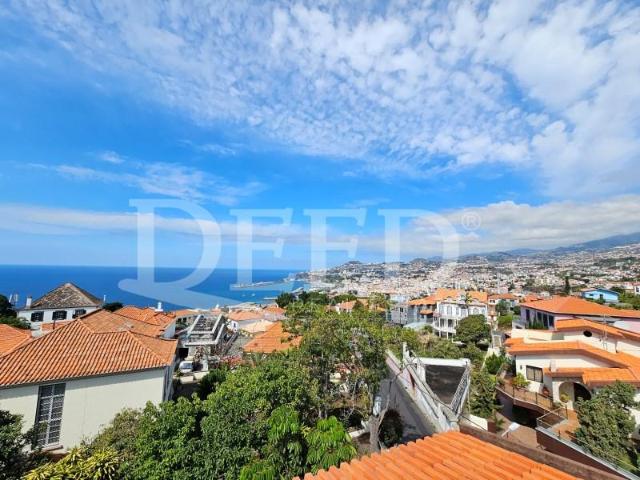 Casaa 3 quarto, Funchal Funchal DS97120313