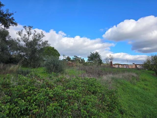 Casaa 3 quarto, Loulé Algarve DS99693312