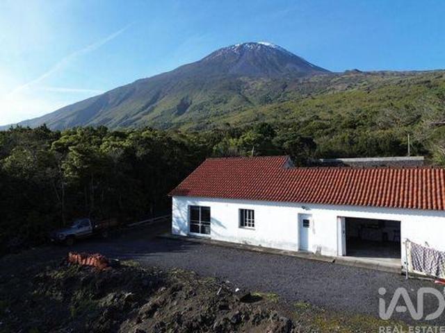 Casaa 3 quarto, Madalena Ilha do Pico 9950 451 DS89292376