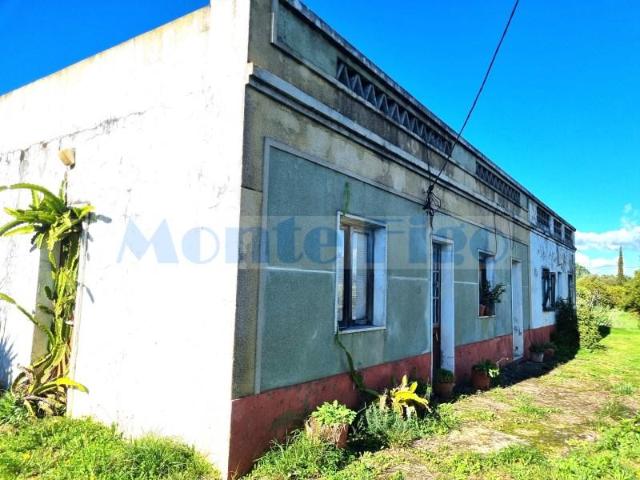 Casaa 3 quarto, Olhão Olhão DS102921422