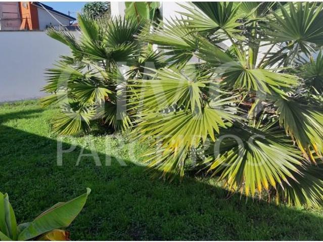 Casaa 3 quarto, Oliveira do Bairro Oliveira do Bairro DS97119842