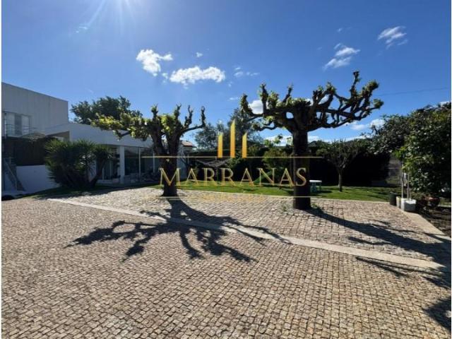 Casaa 3 quarto, Paredes Paredes DLS96915668