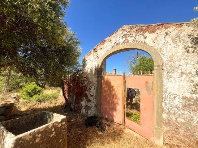 Casaa 3 quarto, São Brás de Alportel Algarve DS80688668