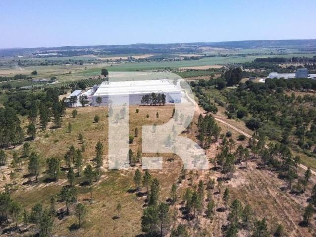 Casaa 3 quarto, Santarém Constância 1170 DLS98362018