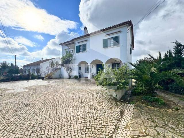 Casaa 3 quarto, Santarém Santarém DLS98375079