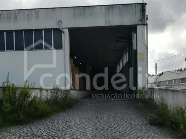 Casaa Trofa Trofa DLS102546536