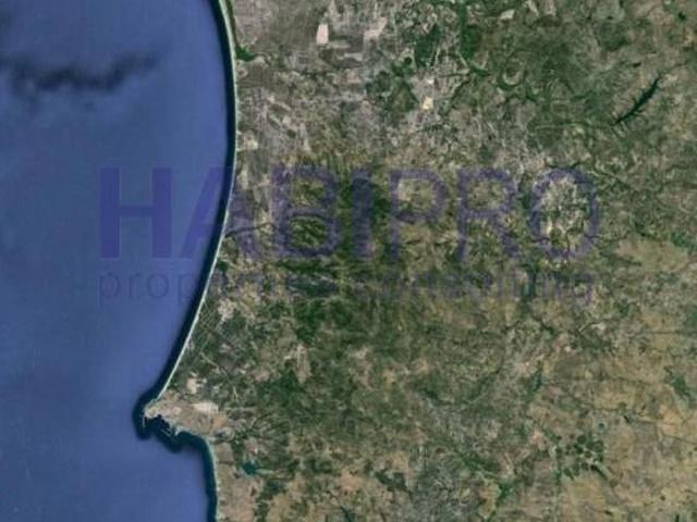 Casaa Vendas Novas Vendas Novas DS93144887