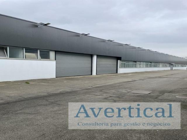 Casaa Vila do Conde Vila do Conde DS102722943