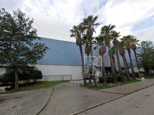 Casaa Vila Franca de Xira Vila Franca de Xira DLS95818663