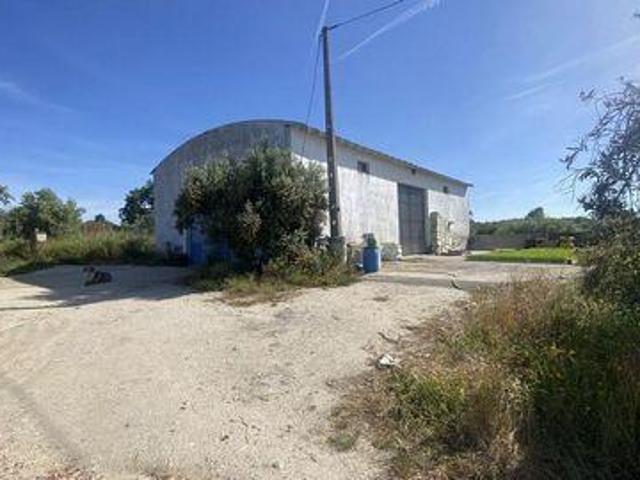 Casaa Abrantes Santarem DLS92028199