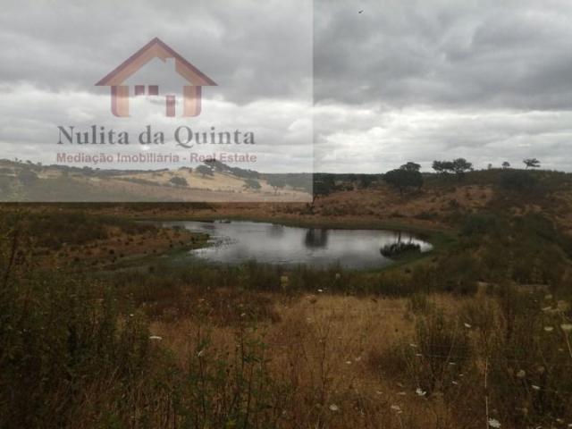 Casaa Almodôvar Almodôvar DLS100097925