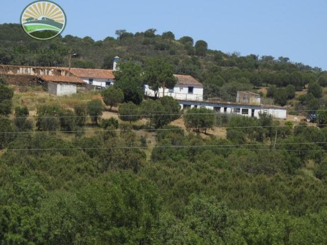 Casaa Almodôvar Almodôvar DLS101381358