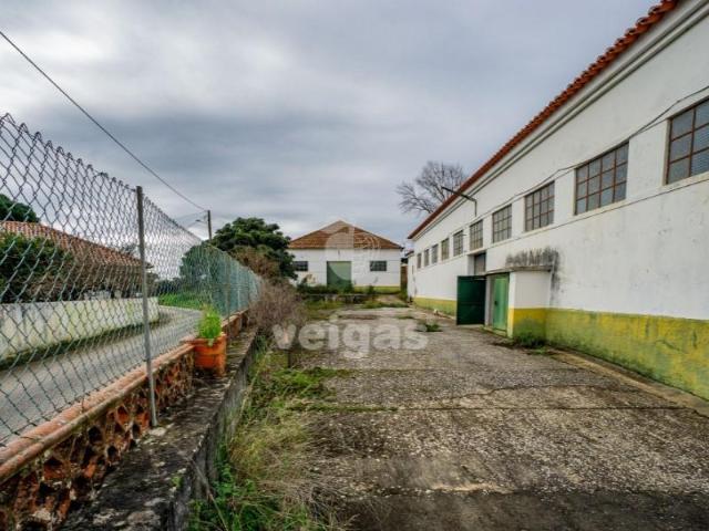 Casaa Alcanena Alcanena DS102966241