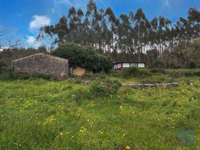 Casaa Alcobaça Leiria 2460 615 DS88948064