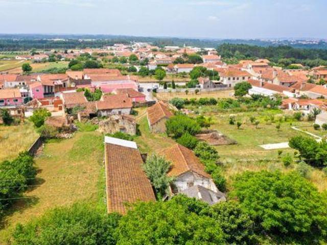 Casaa Alcobaça Leiria 2460 DS99888814