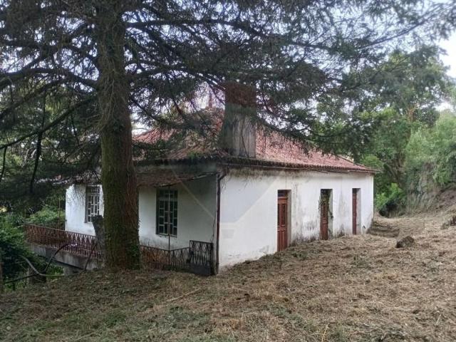 Casaa Arcos de Valdevez Arcos de Valdevez DLS93457014