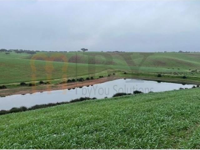 Casaa Beja Beja DLS87036732