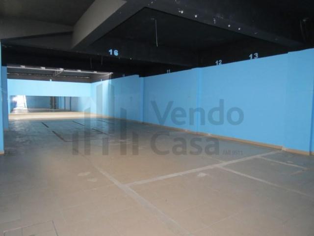 Casaa Braga Braga DLS95481081