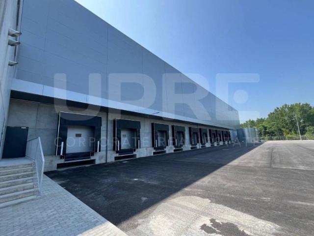 Casaa Braga Braga DLS98333825