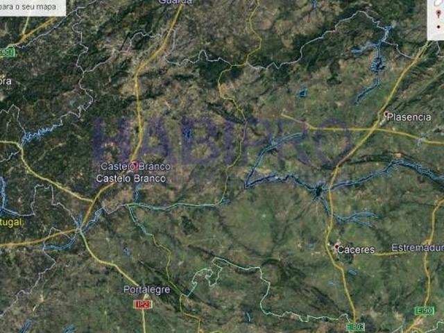 Casaa Castelo Branco Castelo Branco DLS99901624
