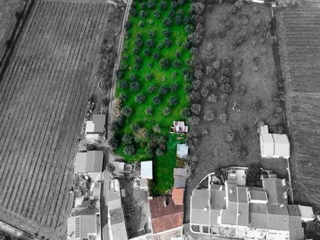 Casaa Estremoz Évora 7100 011 DS90318123
