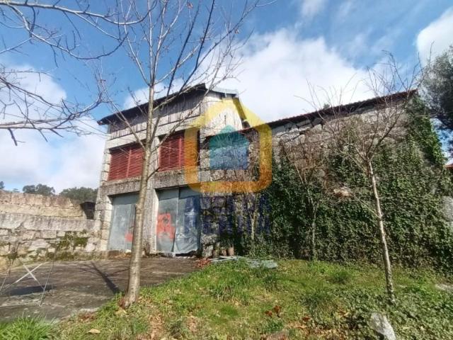 Casaa Fafe Fafe DS102449982