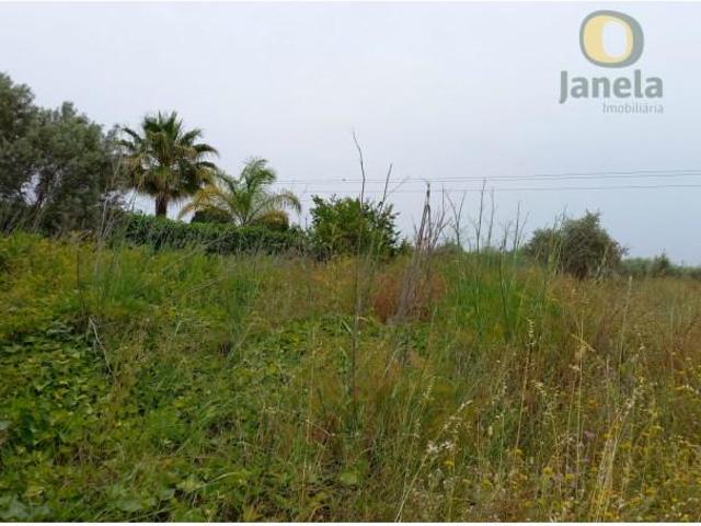 Casaa Faro Faro DS102791648