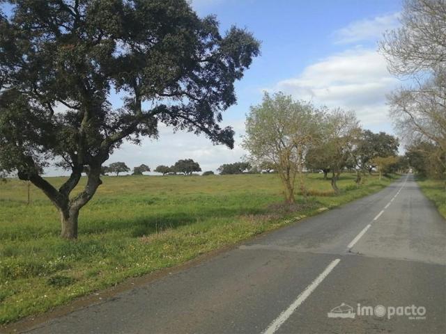 Casaa Ferreira do Alentejo Ferreira do Alentejo DLS98149685