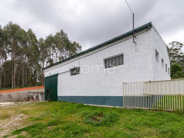 Casaa Figueira da Foz Figueira da Foz DS88604714
