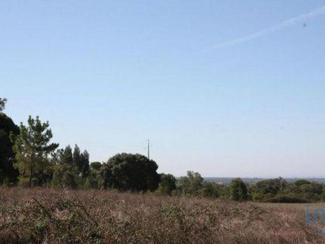 Casaa Grândola Setúbal 7570 769 DLS88509137