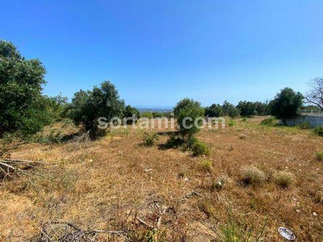 Casaa Loule Faro DS96333059
