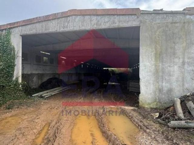 Casaa Lourinhã Lourinhã DS97877890