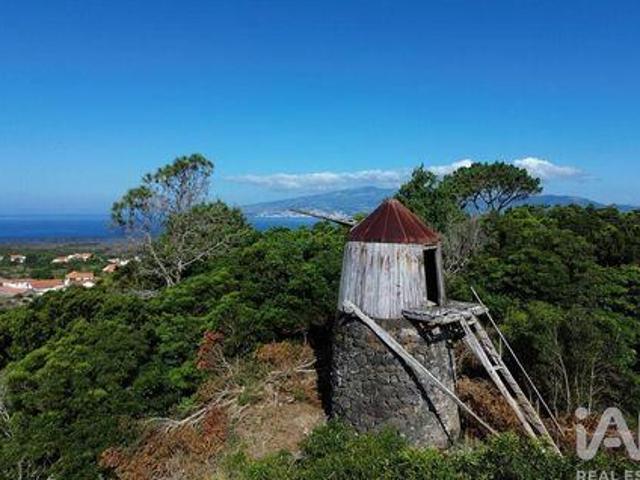 Casaa Madalena Ilha do Pico 9950 221 DS96332066