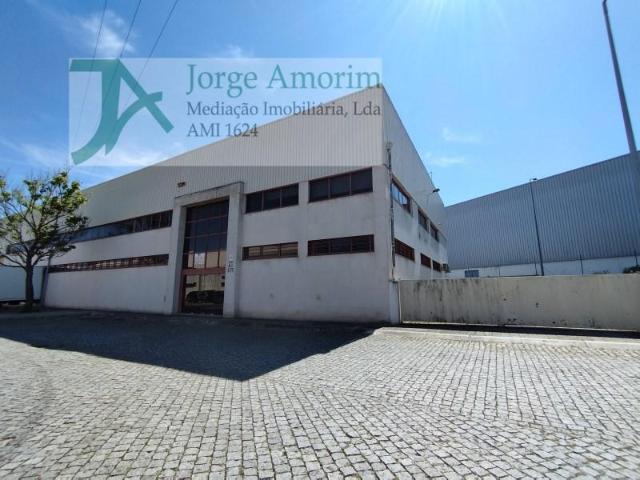 Casaa Maia Maia DLS96584413