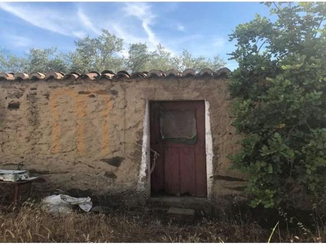 Casaa Mértola Mértola DLS95390132