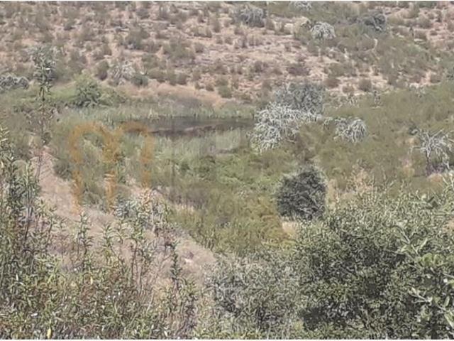 Casaa Mértola Mértola DLS97118571