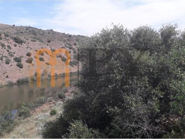 Casaa Mértola Mértola DS102900258
