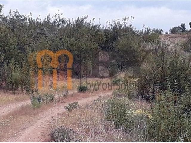 Casaa Mértola Mértola DS102934558