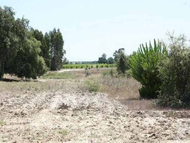 Casaa Montijo Setubal DLS94009888
