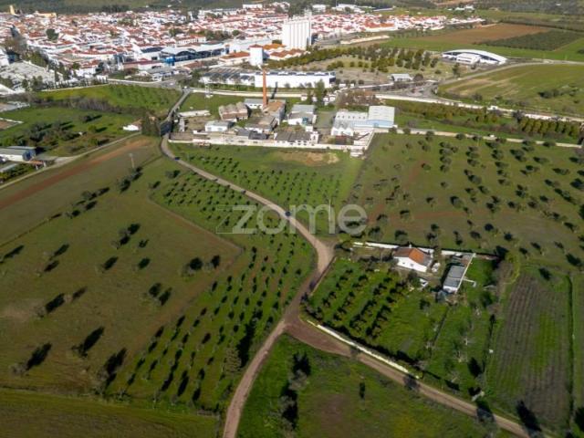 Casaa Moura Moura DS102000786
