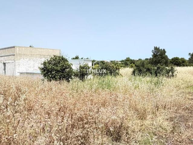 Casaa Olhão Algarve DLS102813057