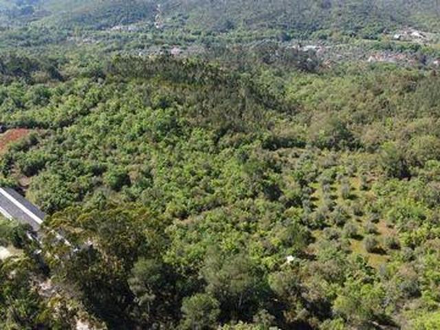 Casaa Ourém Santarém 2435 201 DLS90030614