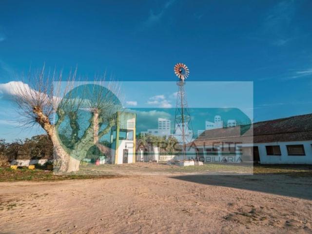 Casaa Palmela Palmela DLS97884478