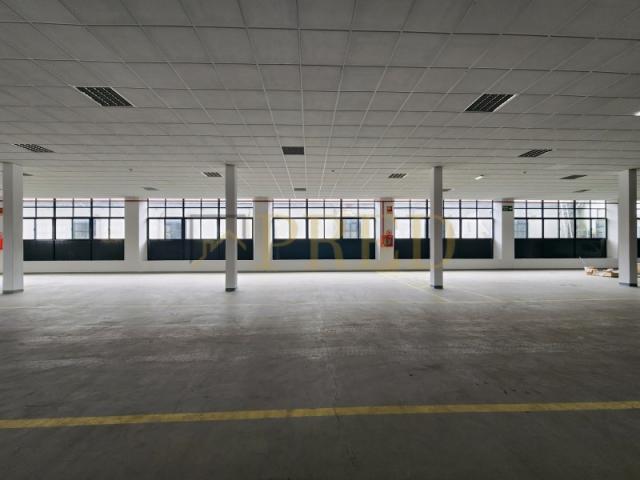 Casaa Porto Porto DLS87130768