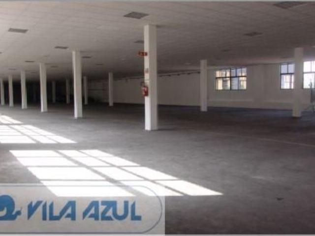 Casaa Porto Porto DLS100219159