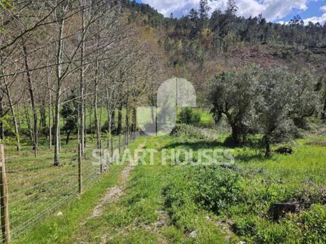 Casaa Portugal Portalegre DS99316276