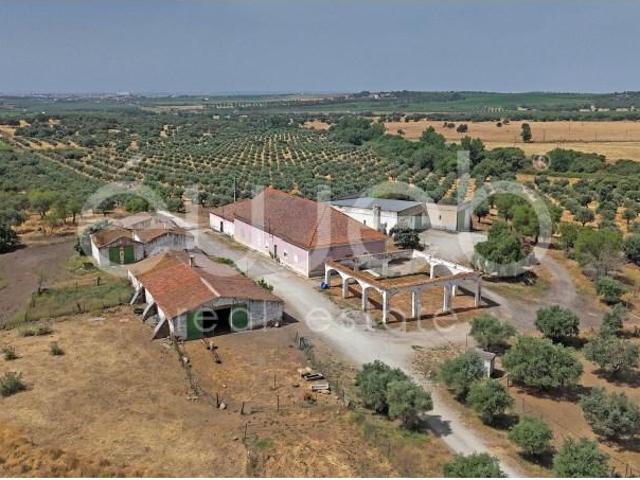 Casaa Reguengos de Monsaraz Reguengos de Monsaraz DS87097968