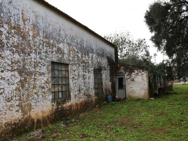 Casaa São Brás de Alportel São Brás de Alportel DLS87243438